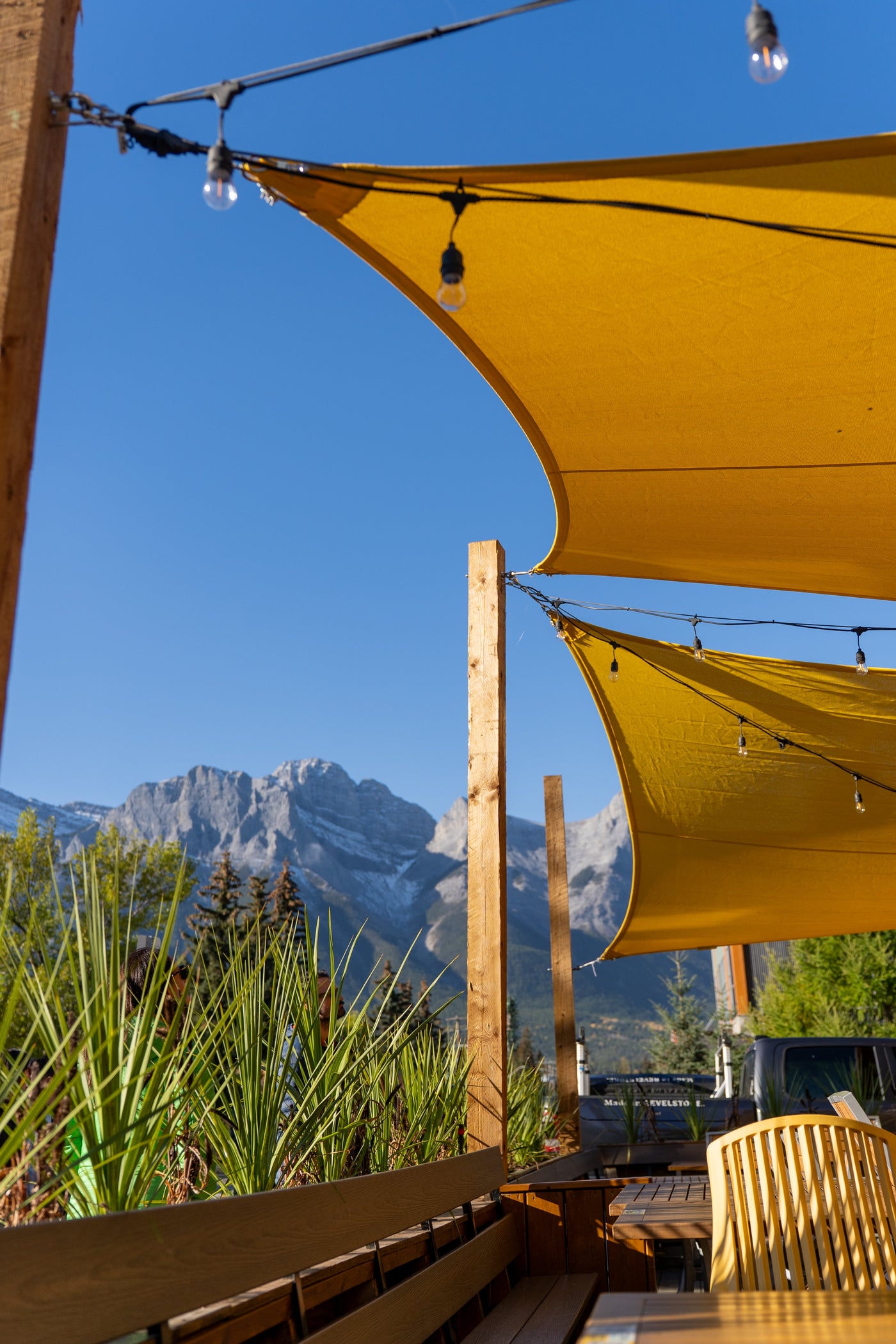 The Grizzly Paw