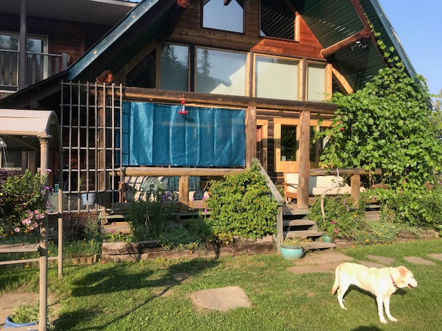 A brown house with a blue patio privacy screen in front of the porch on a sunny day, with a dog on the lawn.