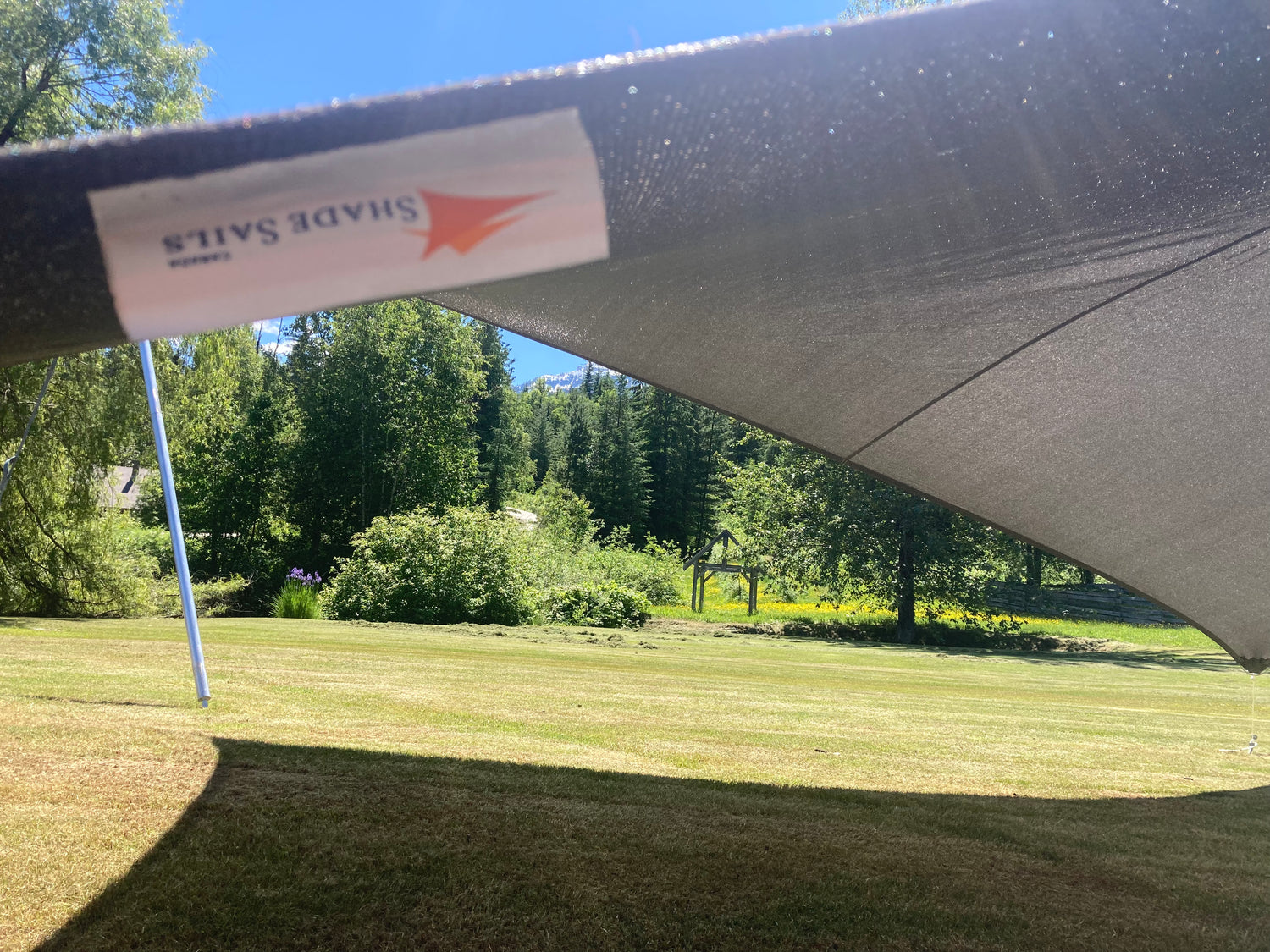 A close-up view of a black canopy shade in a lush green backyard with a clear blue sky in the background, highlighting its use as a pet canopy shade to provide cool shelter for pets in sunny weather.