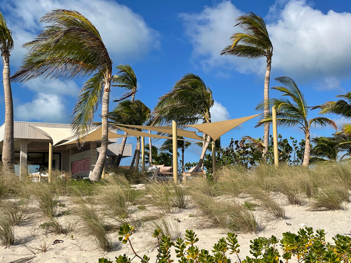 Beachfront cabana framed by palm trees with cream wind resistant outdoor shades tensioned over lounge areas, protecting the space from strong coastal winds.
